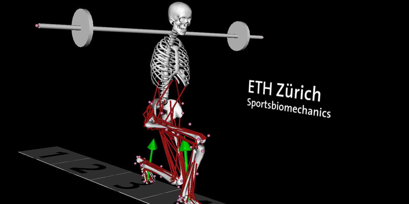 Enlarged view: Modelling of Lunges
